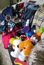 Dog big bundle for sale  PONTYPOOL