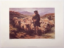 Reproduction print highland d'occasion  Expédié en Belgium