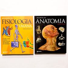 Atlanti fisiologia anatomia usato  Travedona Monate