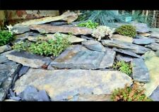 Rustic slate walling for sale  CAERNARFON