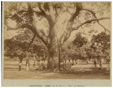 Fabre martinique fort d'occasion  Expédié en Belgium