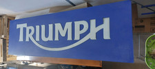 Insegna blu triumph usato  Rosignano Marittimo