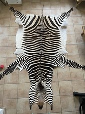 Hartmann bergzebra zebrafell gebraucht kaufen  Waltrop