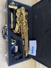 Alto saxophone for sale  HEXHAM