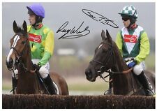 Kauto star denman for sale  SUNDERLAND