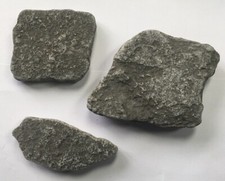 Charmouth fossil specimens for sale  SHEFFIELD