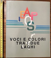 Libro voci colori usato  Varese