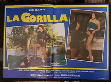 Gorilla lotto fotobuste usato  Prato