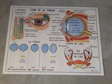 Affiche scolaire mdi d'occasion  Aubenas