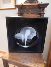 Robert mapplethore swid for sale  Santa Fe