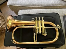 Yamaha professional flugelhorn for sale  Middletown