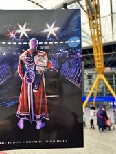 Wwe 2025 london for sale  READING