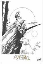 Libris naufrages ythaq d'occasion  Bourg-la-Reine