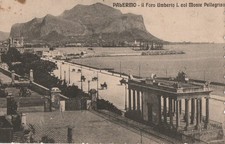 gabbie pappagalli grandi palermo usato  Jesi