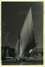 1987 press photo for sale  Memphis