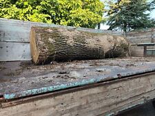 Eichenstamm gebraucht kaufen  Eichendorf