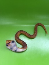 Sienon realistic rubber for sale Sienon realistic rubber for sale  LONDON