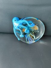 Lager octopus jellyfish for sale  LEICESTER