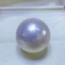 meia perola comprar usado meia perola comprar usado Enviando para Brazil