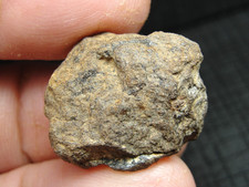 Haggounia enstatite melt for sale  Hebron