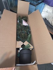 36in christmas tree for sale  Riverside
