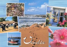 Roche yon aquarium d'occasion  France