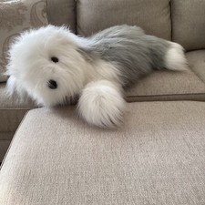 Old english sheepdog for sale  Woodcliff Lake