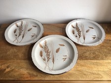 Midwinter stonehenge wild for sale  STOKE-ON-TRENT