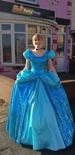Ladies cinderella fancy for sale  WATERLOOVILLE