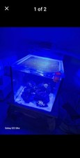 Red sea nano for sale  BRIDGNORTH
