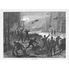 pheasant shooting for sale  GLASGOW