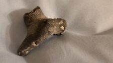 Fossil bone piece for sale  NEWCASTLE UPON TYNE