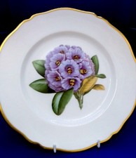 spode bone china for sale  NORWICH