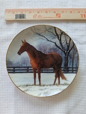 Winter pasture donald for sale  Sebastian