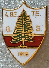 Distintivo calcio g.s. usato  Capannori