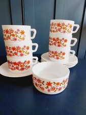 Arcopal scania kaffeetassen gebraucht kaufen  Saarbrücken