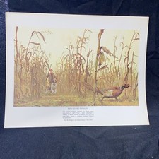 Remington sportsmen ring for sale  Quincy