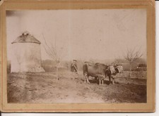 Barbaste photo carton d'occasion  Coutras
