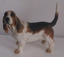 Leonardo basset hound for sale  SCUNTHORPE