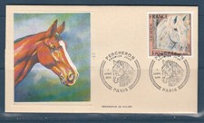 1er jour cheval d'occasion  France