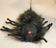 Halloween wolf spider for sale  Mulvane