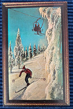 Downhill skier slope for sale  Waterford