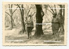 D1584 foto fallschirmjäger gebraucht kaufen  Kirchhain