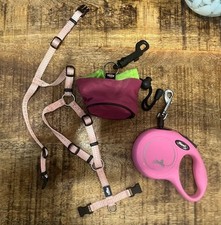 Set geschirr flexileine gebraucht kaufen  Baden-Baden