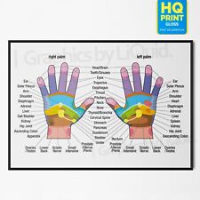 Hand reflexology colour for sale  LONDON