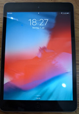 Ipad mini cellular gebraucht kaufen  Welle