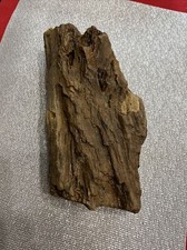 Large piece petrified for sale  Shawnee