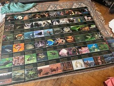 Full set volumes for sale  CAMBRIDGE