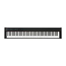 Korg stage piano gebraucht kaufen  Köln