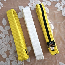 Lot taekwondo martial for sale  Torrance
